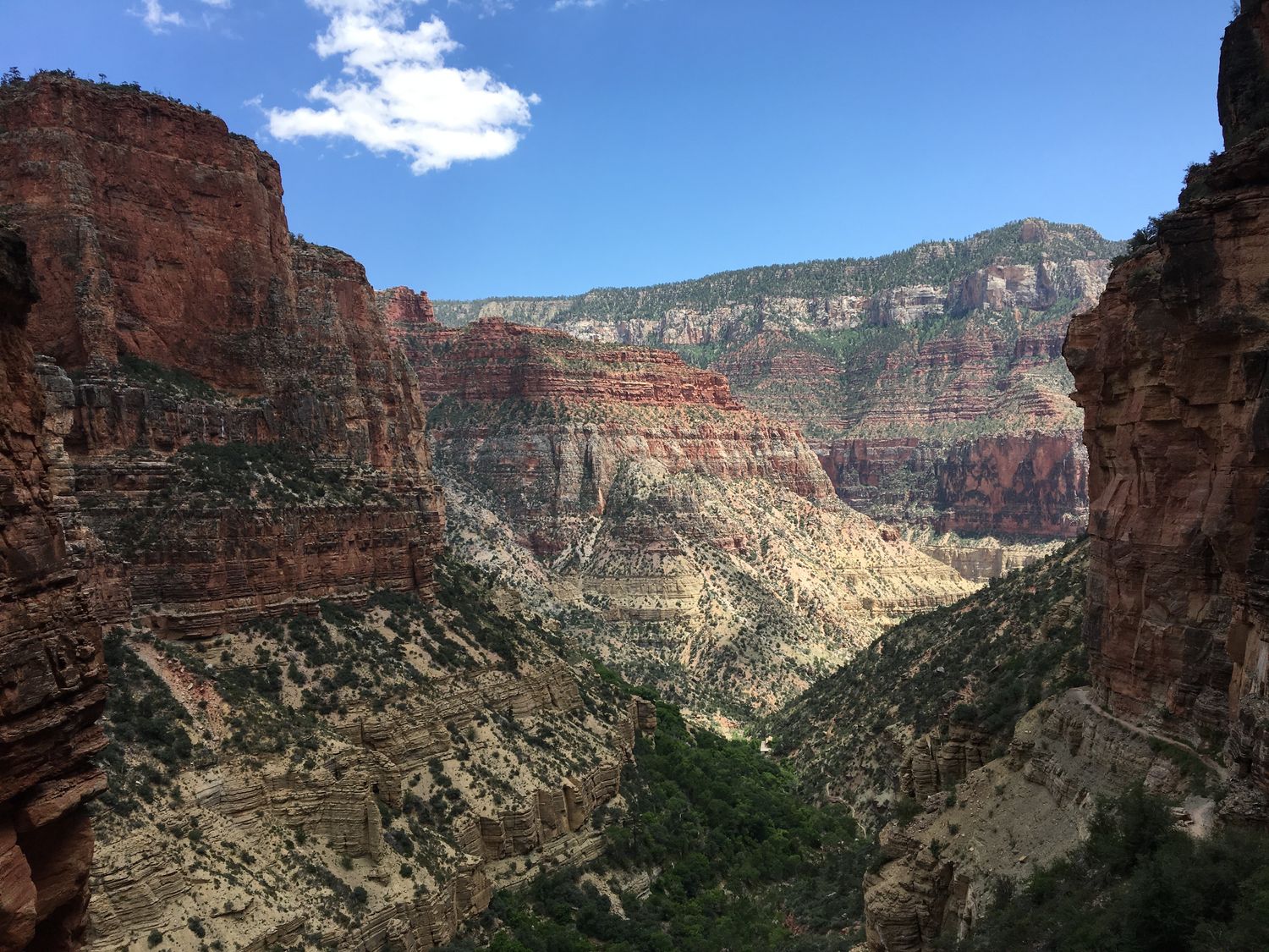 Layered red rock walls of the Grand Canyon's inner gorge