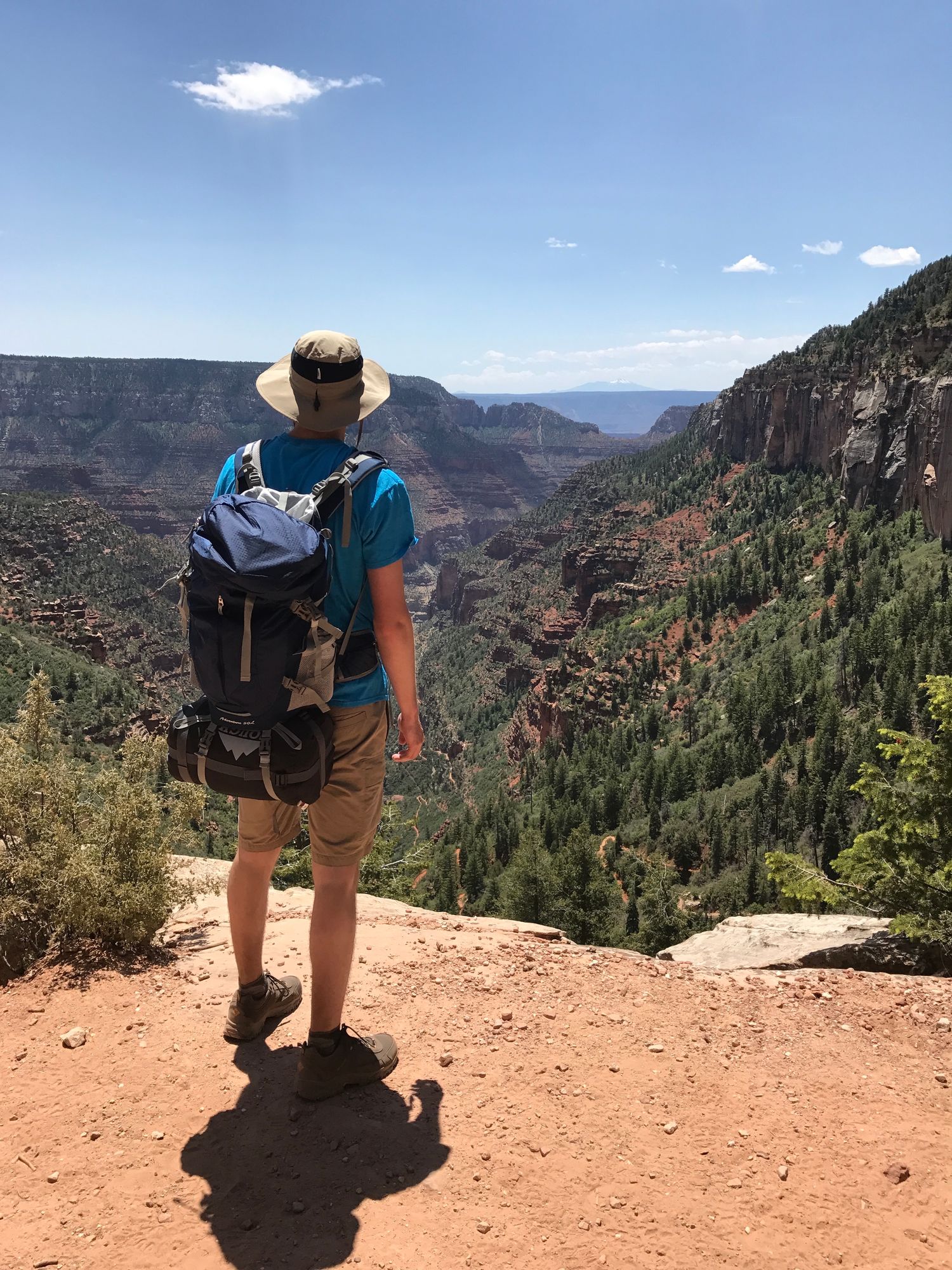 Hiker with a backpack overlooking a forested canyon