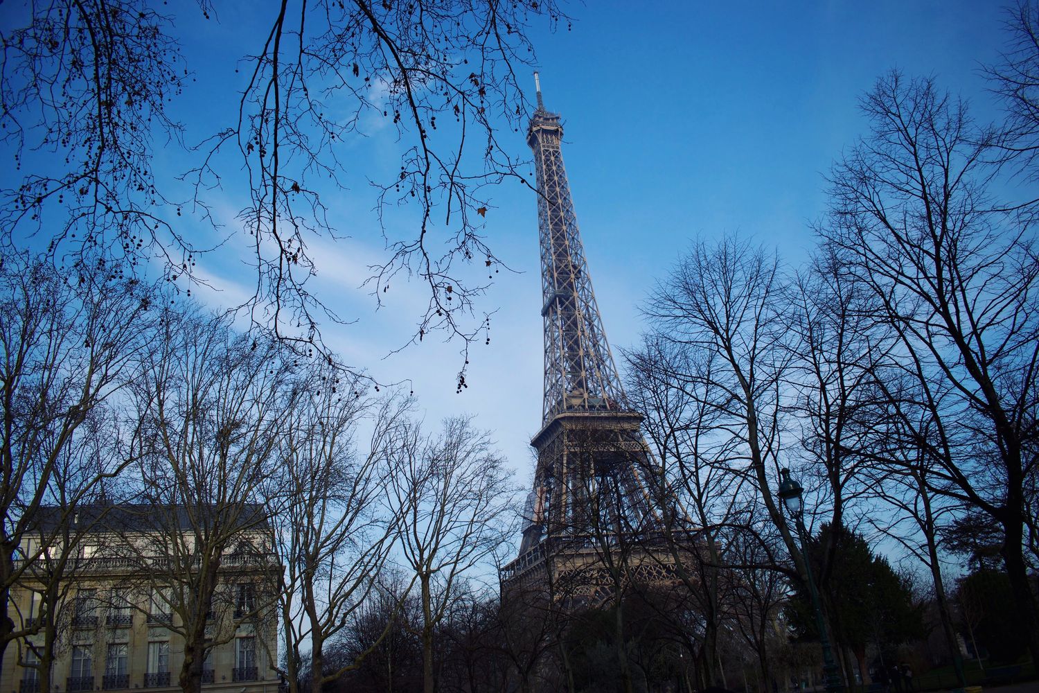 Eiffel Tower framed by bare winter trees at dusk