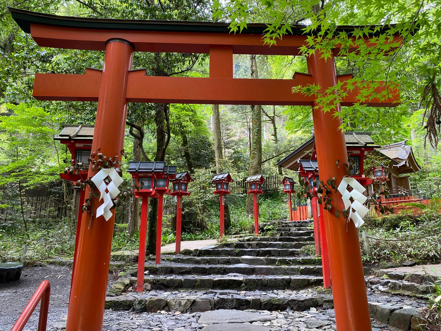 Red torii gate and stone steps leading to a forest shrine